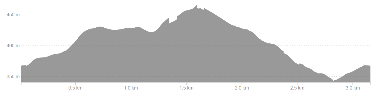Ridgy-Didge Explorer Strava elevation